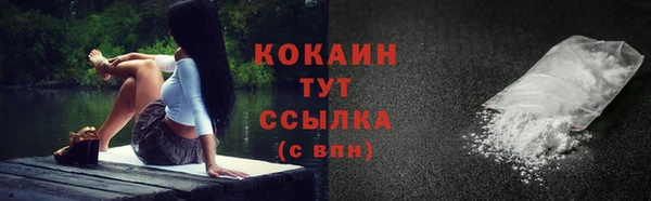 сатива Медногорск