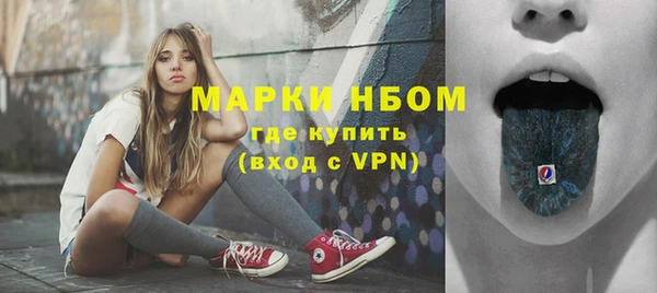 сатива Медногорск